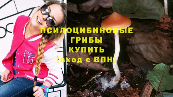 apvp Абинск
