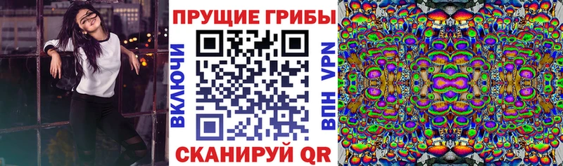 Псилоцибиновые грибы мицелий  Черкесск 