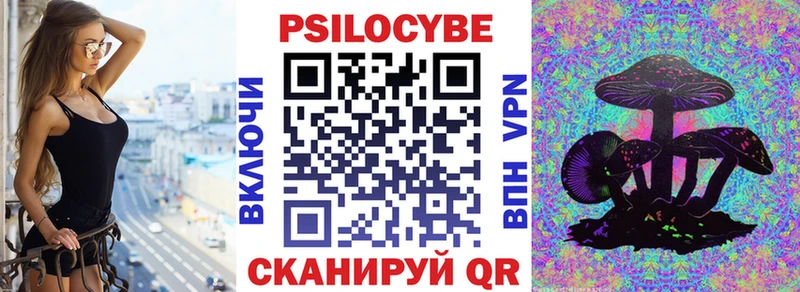 Галлюциногенные грибы Cubensis Черкесск